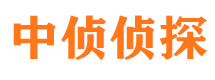 平安出轨调查